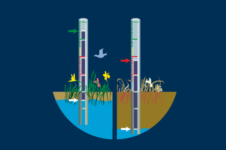 Educatieve grondwaterpeilbuizen