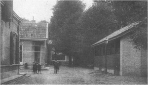 Foto van de boterlap