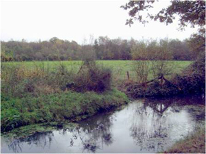 Foto van de plaats van de Allermolen