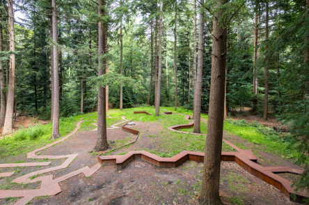 Zwaartepunt