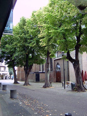 gerechtsbomen